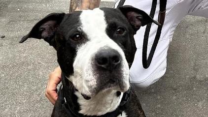 McKamey's longest resident finds a home